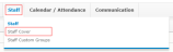 Staff menu with Staff Custom Groups highlighted