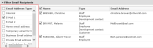 The Email Address Type options
