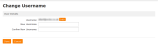 Example Change Username page
