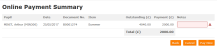 Online Payment Summary  example